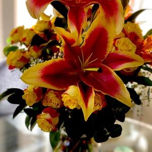 Meet your Posher, Patricia